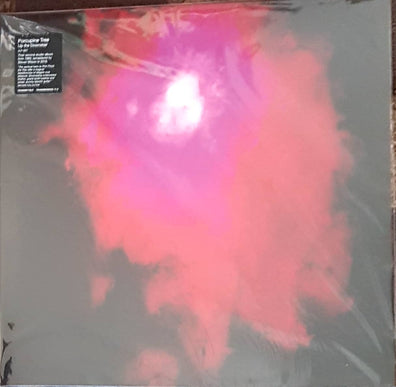 Porcupine Tree - Up The Downstair 2Lp